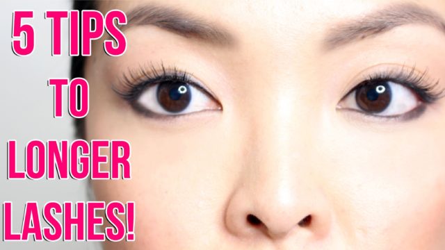 HOW TO: Grow Your Eyelashes Faster!