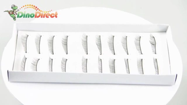 10 Pairs Lady Beauty Ornament Makeup Natural False Eyelashes 06# – dinodirect