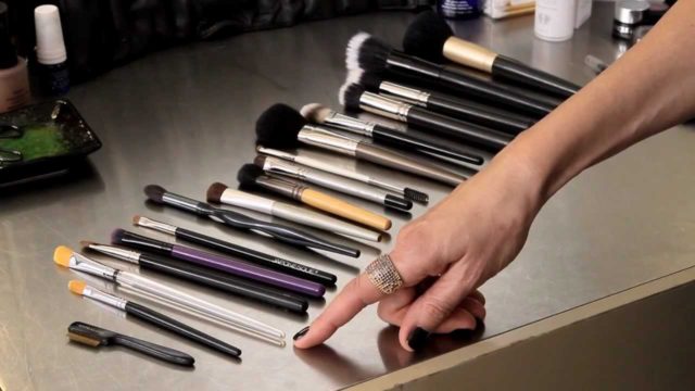 Make Up Brushes shared by Professional Fashion and Celebrity Make Up Artist Kendra Richards